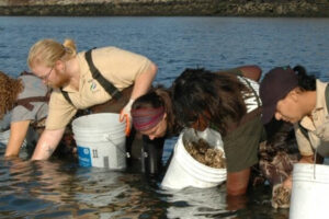 How do I Create a Group or Community to Keep our Rivers and Lakes Clean?